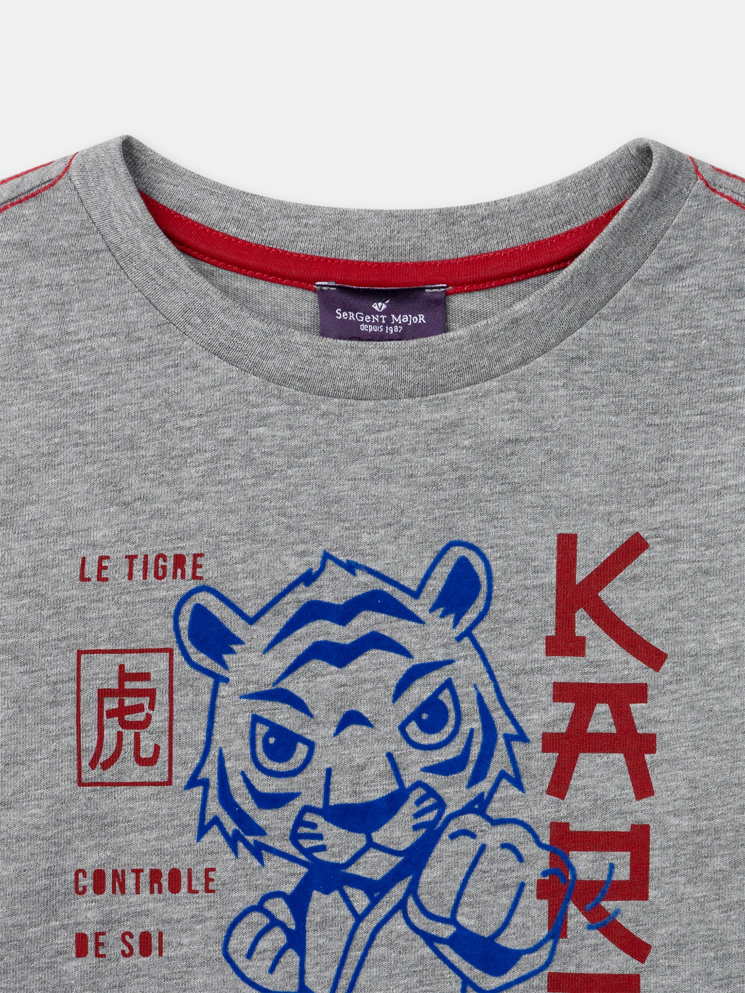 T-shirt grigia a maniche lunghe con stampa di tigre per bambino - Image 4